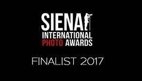 Siena Finalist Logo