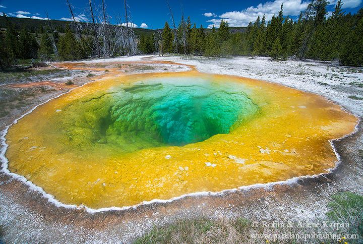 Morning Glory Pool, Yellowstone National Park, USA.