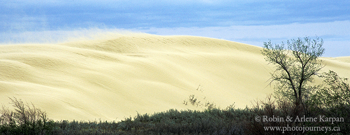 blowing sand