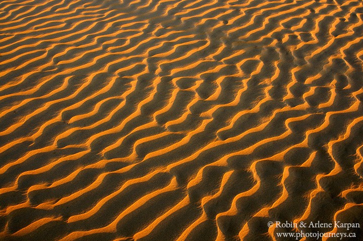 sand ripples, Great Sand Hills in Saskatchewan Canada