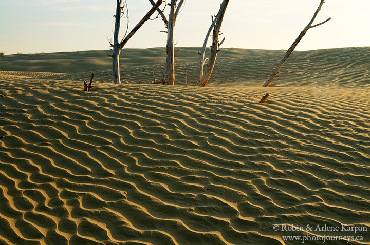 sand ripples, great sand hills saskatchewan