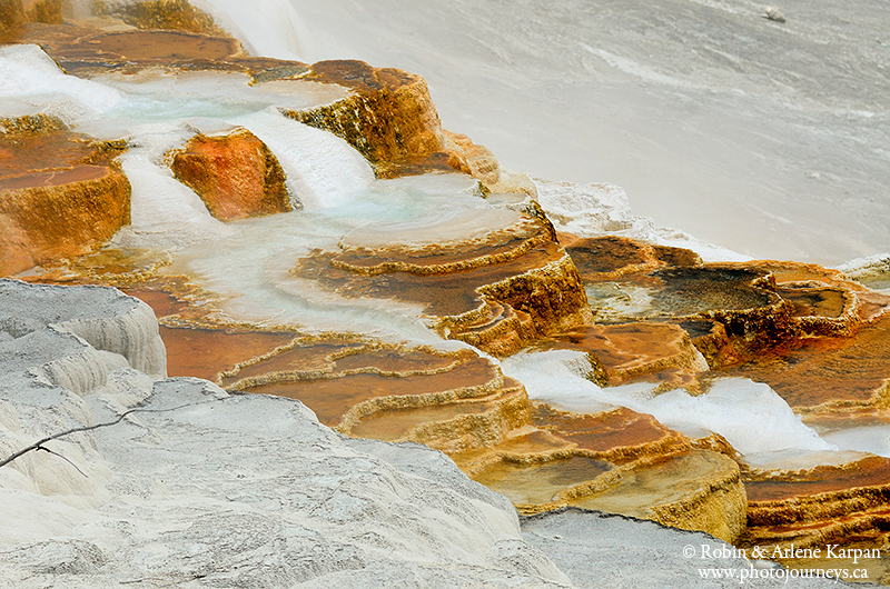 terraces, Yellowstone National Park