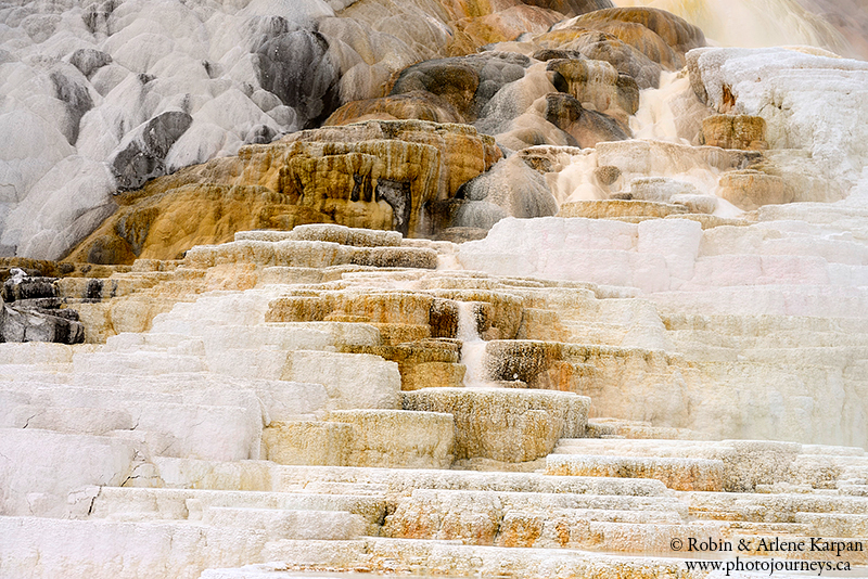 Mammoth terraces, Yellowstone National Park