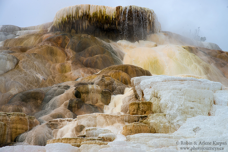 Mammoth terraces, Yellowstone National Park