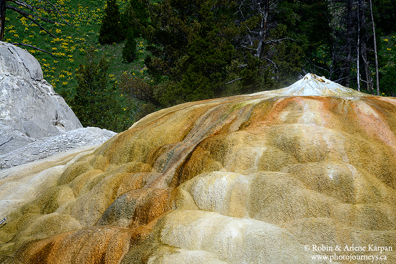 Mammoth terraces, Yellowstone National Park