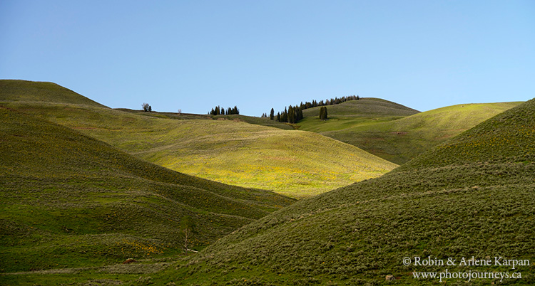 Lamar Valley