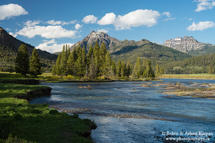 Yellowstone national park