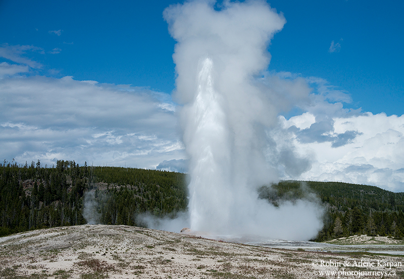 old faithful, Yellowstone National Park