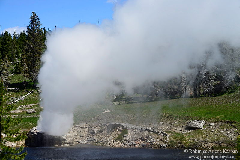 geyser, Yellowstone National Park