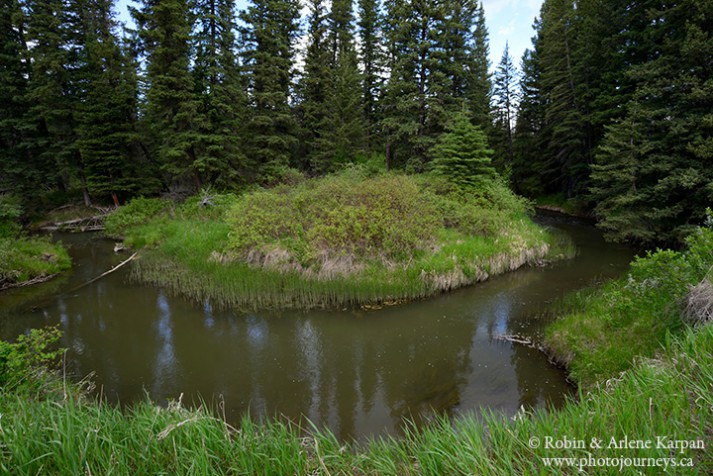 Battle Creek, Fort Walsh