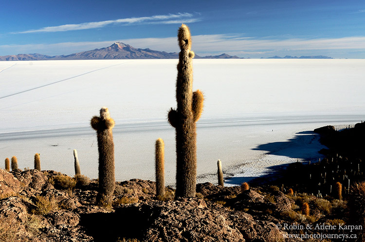 Incahuasi Island, Bolivia