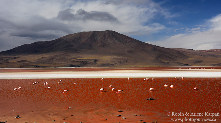 Laguna colorada, Bolivia