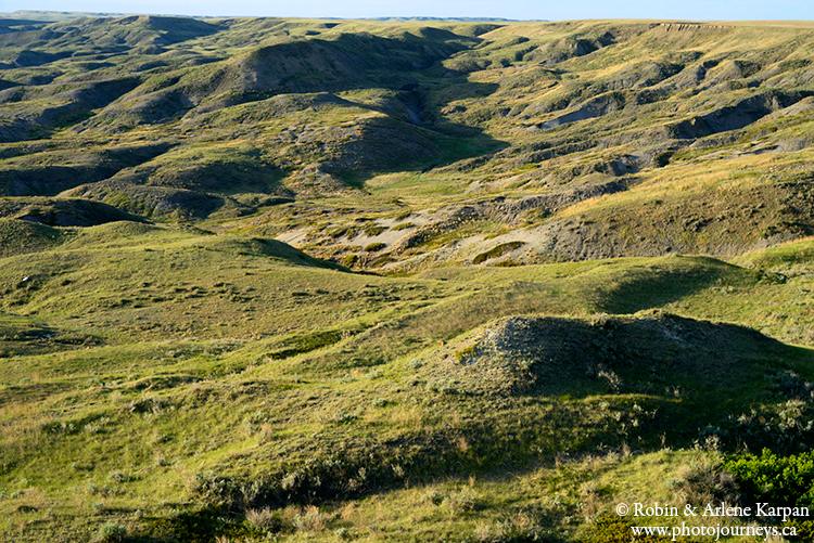 Grasslands National Park