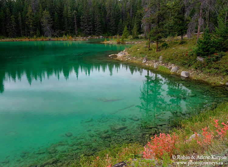 Hiking trail near Maligne Lake.