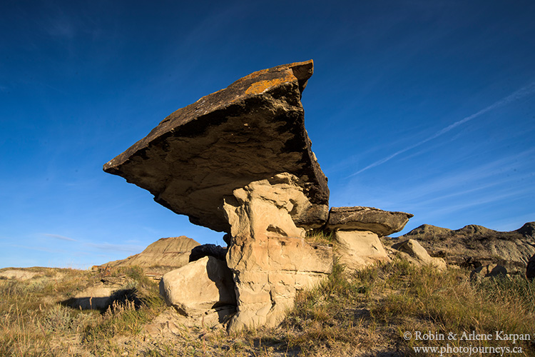 Dinosaur Provincial Park