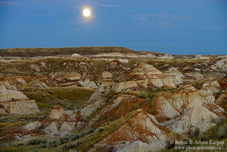 Dinosaur Provincial Park