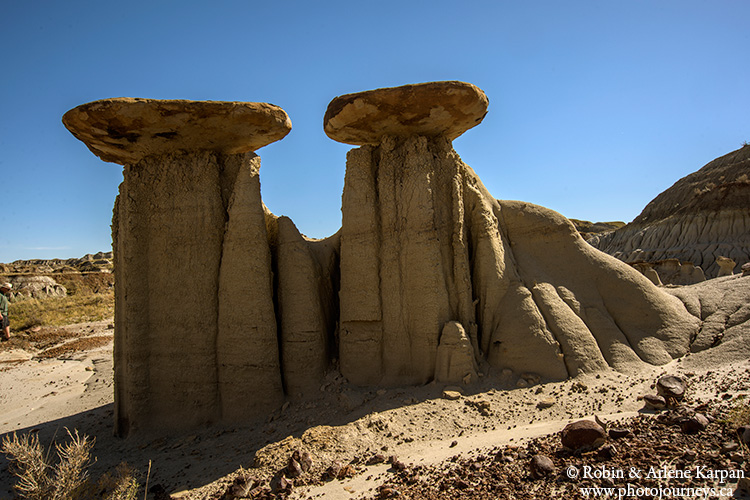 Dinosaur Provincial Park