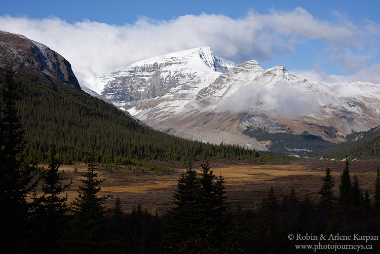 Columbia Icefields