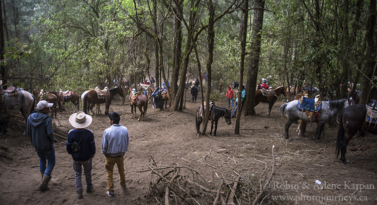 Horse parking lot, Piedra Herrada Monarch Butterfly Reserve, Mexico