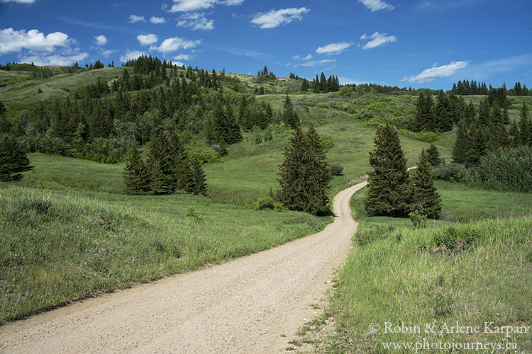 Battle Creek Road, Cypress Hills, Alberta