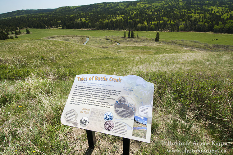 Battle Creek Valley, Cypress Hills, Alberta