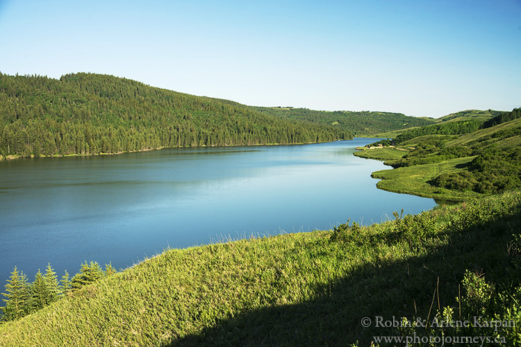 Reesor Lake, Cypress Hills, Alberta