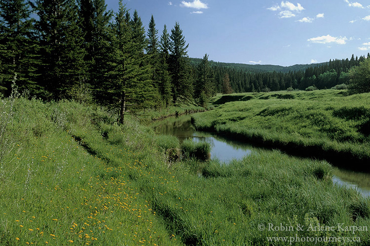 Battle Creek, West Block, Cypress Hills Interprovincial Park, Saskatchewan