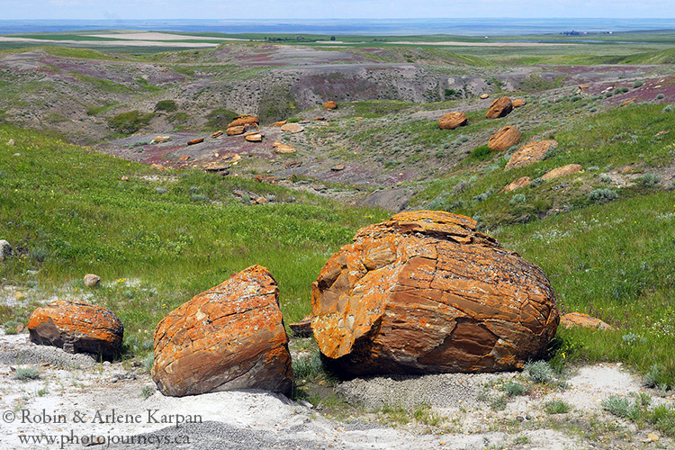 Red Rock Coulee Natural Area, Alberta