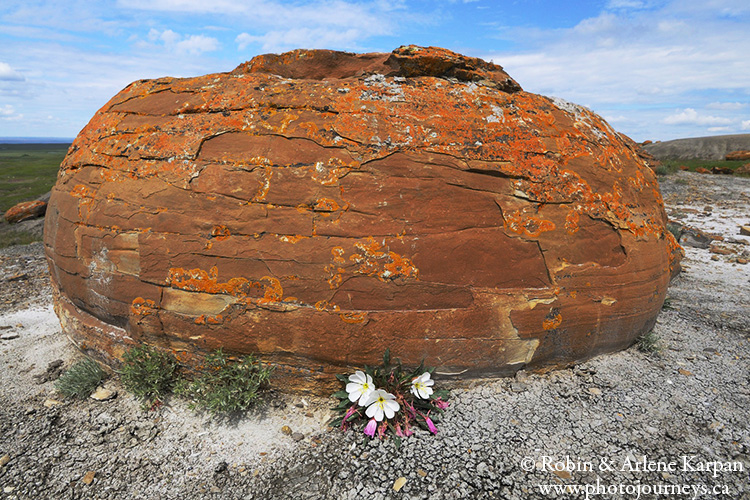 Red Rock Coulee Natural Area, Alberta