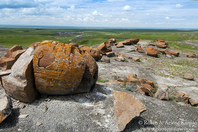 Red Rock Coulee Natural Area, Alberta