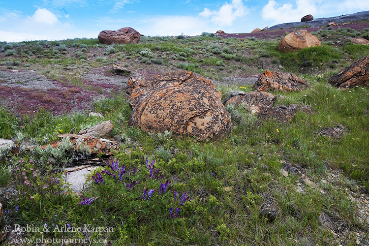 Red Rock Coulee Natural Area, Alberta