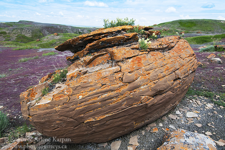 Red Rock Coulee Natural Area, Alberta