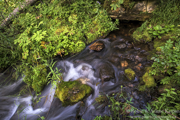 Karst spring source, Grass River Provincial Park, Manitoba