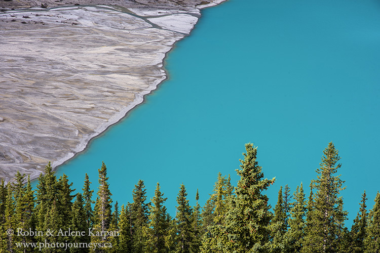 Peyto Lake, Banff National Park