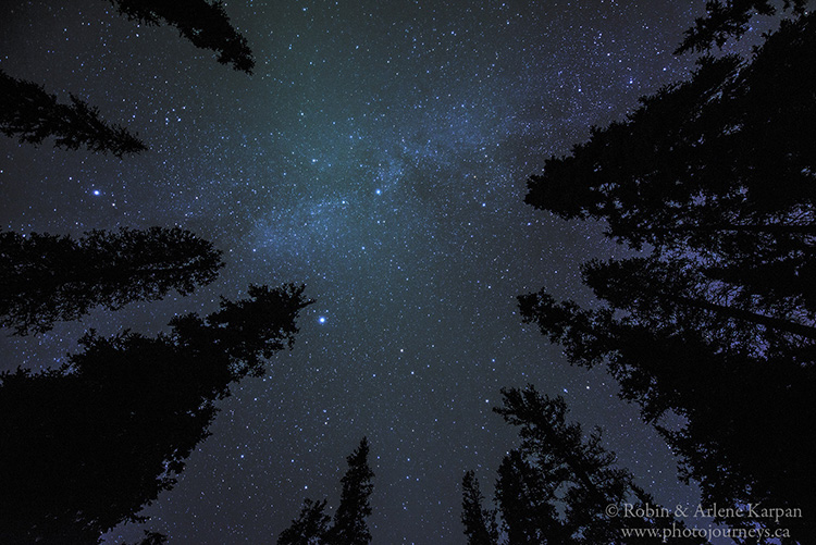Night sky, Wilcox campground, Icefields Parkway