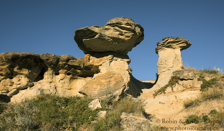 Dinosaur Provincial Park, Alberta.