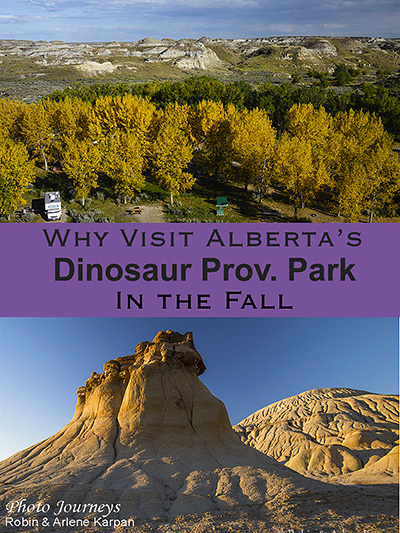 PIN - Dinosaur Provincial Park