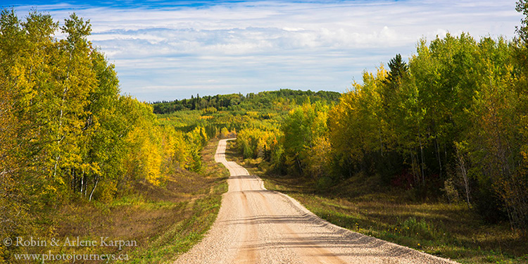 Porcupine Forest along Woody Lake Road.