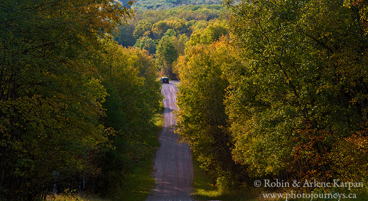 Marean Lake Road, Greenwater Provincial Park