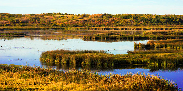 Wetland near Scent Grass Bird Sanctuary, Thickwood Hills