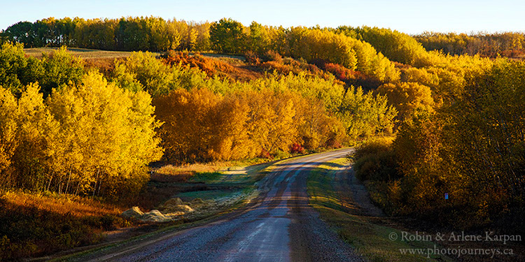 Thickwood Hills near Blaine Lake