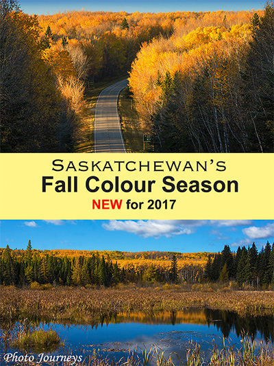 fall colours blog pin