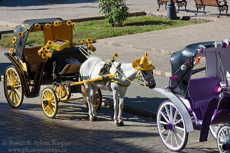 Horse-drawn carriages, Izamal