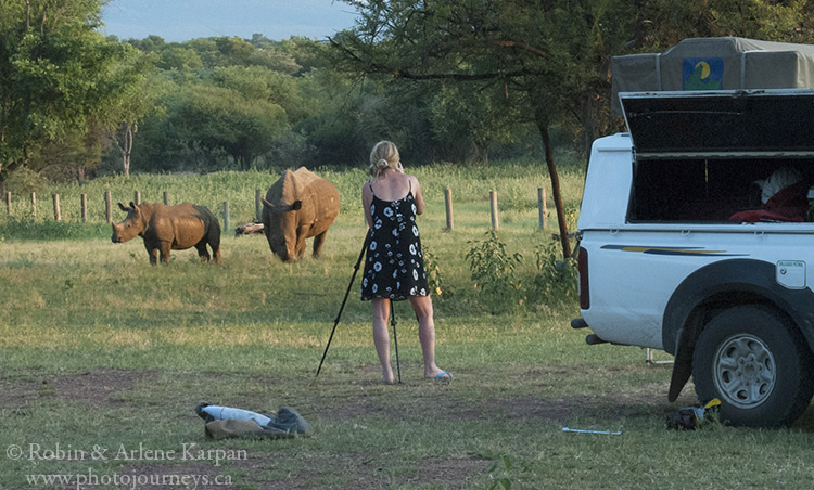 Rhinos, Marakele National Park, South Africa