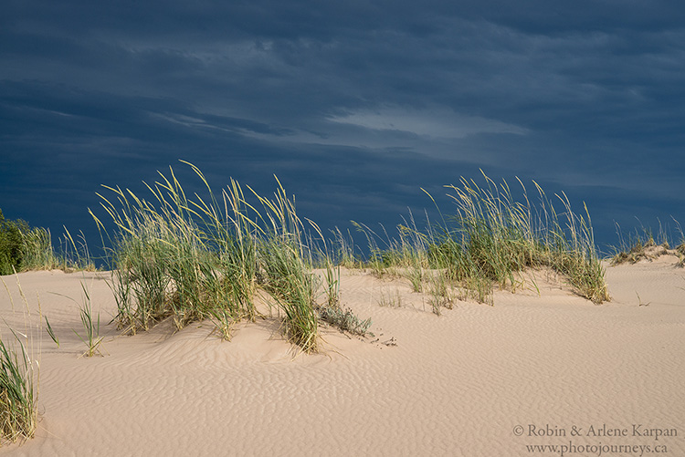 Athabasca Sand Dunes, northern Saskatchewan, Canada