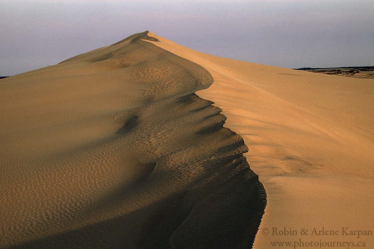 Athabasca Sand Dunes, northern Saskatchewan