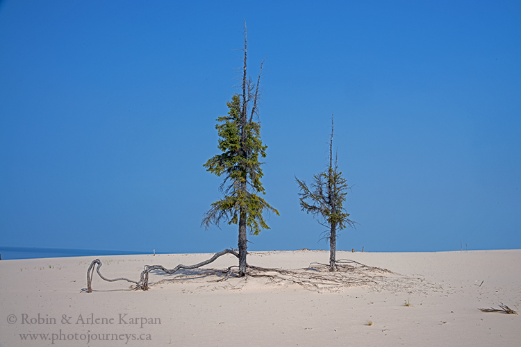 Athabasca Sand Dunes, northern Saskatchewan