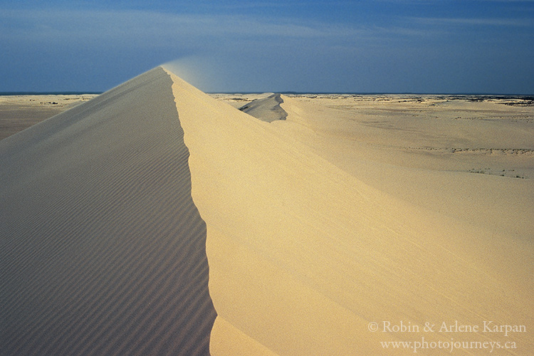 Athabasca Sand Dunes, northern Saskatchewan