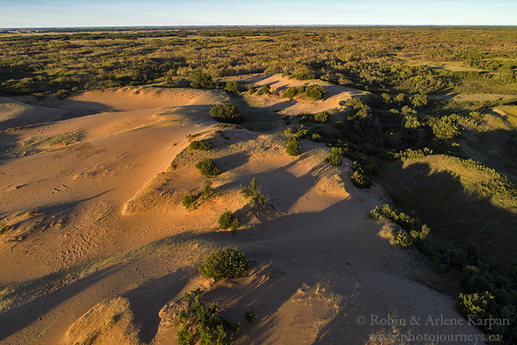 Sand dunes, Douglas Provincial Park