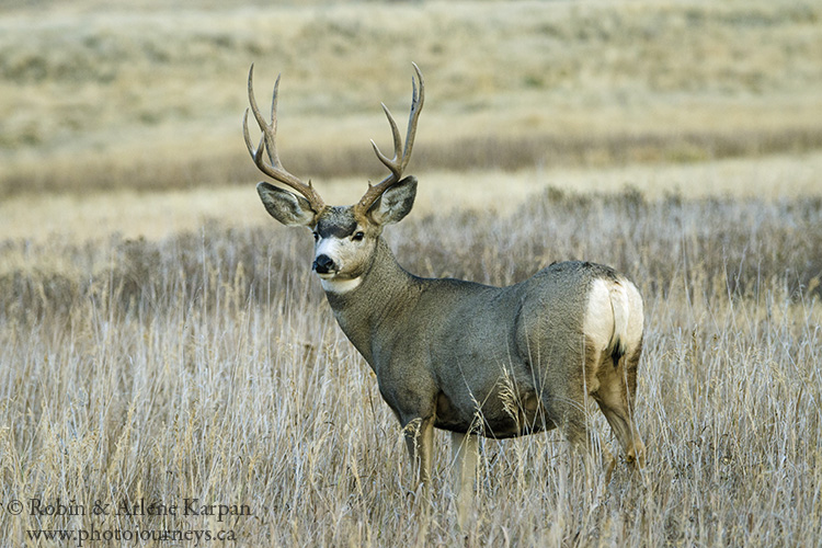 Three Must-do Scenic Drives in Southern Saskatchewan - Photo Journeys